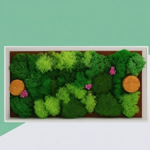 Eco-Friendly Moss Frame Memento - MM02-8x4"