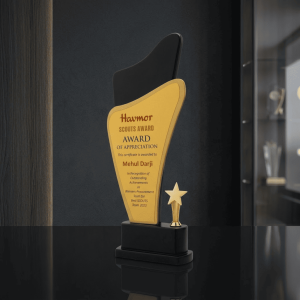 Modern Golden Trophy for Corporate & Personal Events - AW16