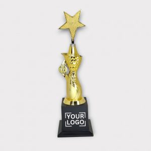 Corporate Achievement Award - AW37-13"