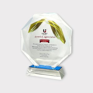 Professional Achievement Trophy – Custom - AW05