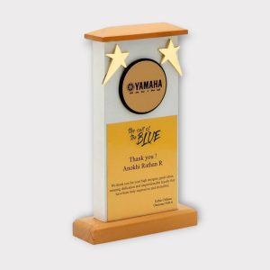Customized Event Trophy – For Competitions or Celebrations - AW07-9"