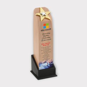 Modern Desk Trophy - AW10-12"