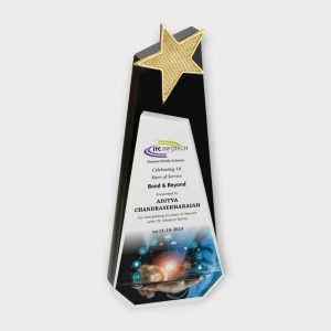 Performance Trophy – For Corporate or Personal Events - AW14-10"