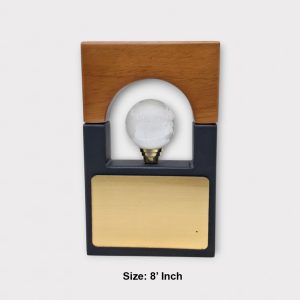 Premium Wooden Globe Award - AW17