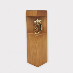 Elegant Achievement Star Award - AW20-10"