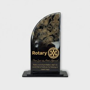 Leadership Appreciation Award - AW30-8.5"