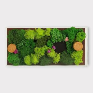 Eco-Friendly Moss Frame Memento - MM02-8x4"
