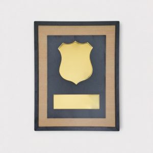 Stylish Corporate Memento - MM15-12x9"