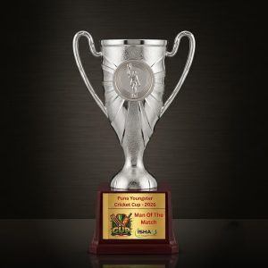 Premium Silver Recognition Trophy - TR22