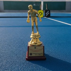 Gold Athletic Spirit Trophy - TR17-9.5INCH