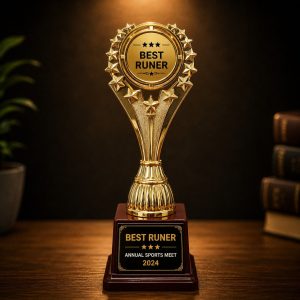 Golden Supreme Recognition Trophy - TR40-11INCH