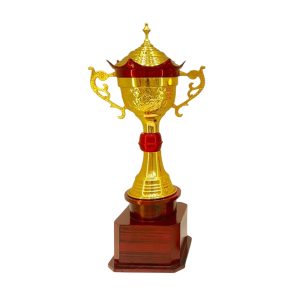Premium Gold Championship Trophy with Wooden Base - TR08