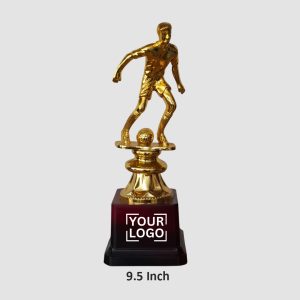 Sports Performance Award Trophy - TR13-9.5INCH
