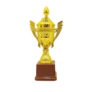 Elegant Golden Cup Trophy for Winners - TR10