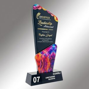 Crystal Spectrum Leadership Award - AW51-9"