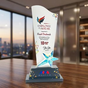 Aqua Star Excellence Award - AW54-12"